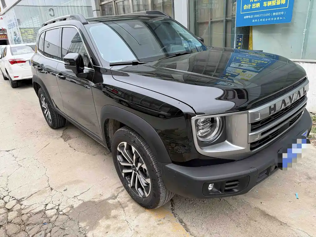  Big Dog 1.5T DCT Border Collie Edition