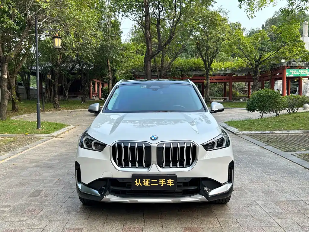  X1 xDrive25Li X Design Package