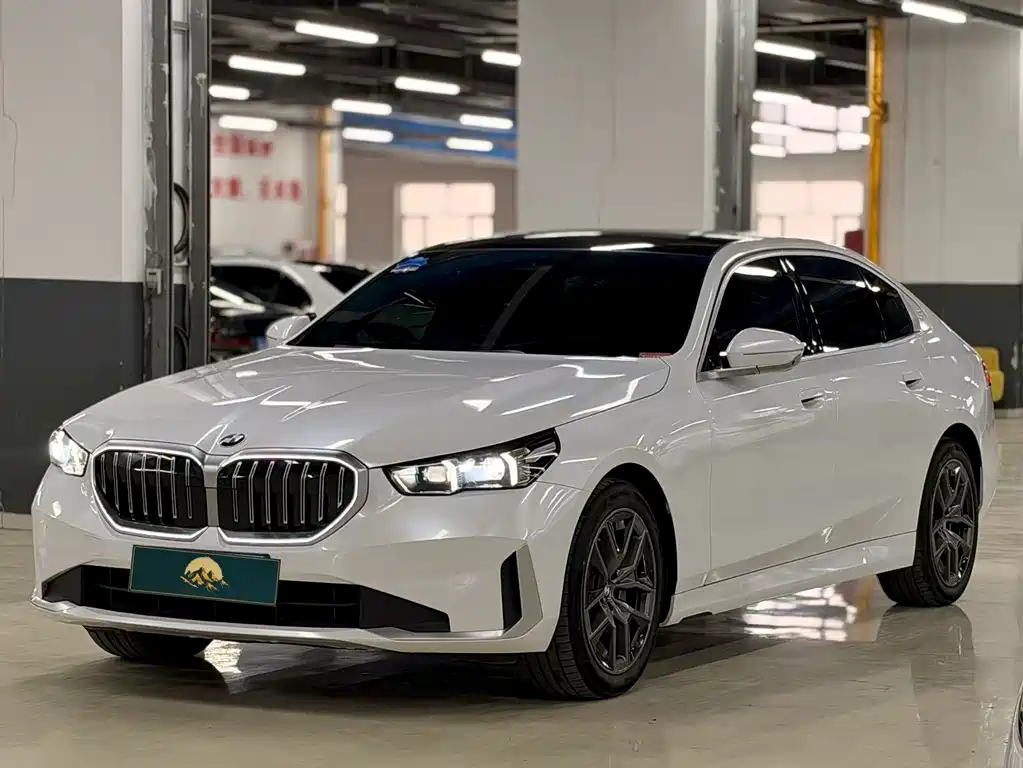  5 Series 530Li Leading Type Luxury Package