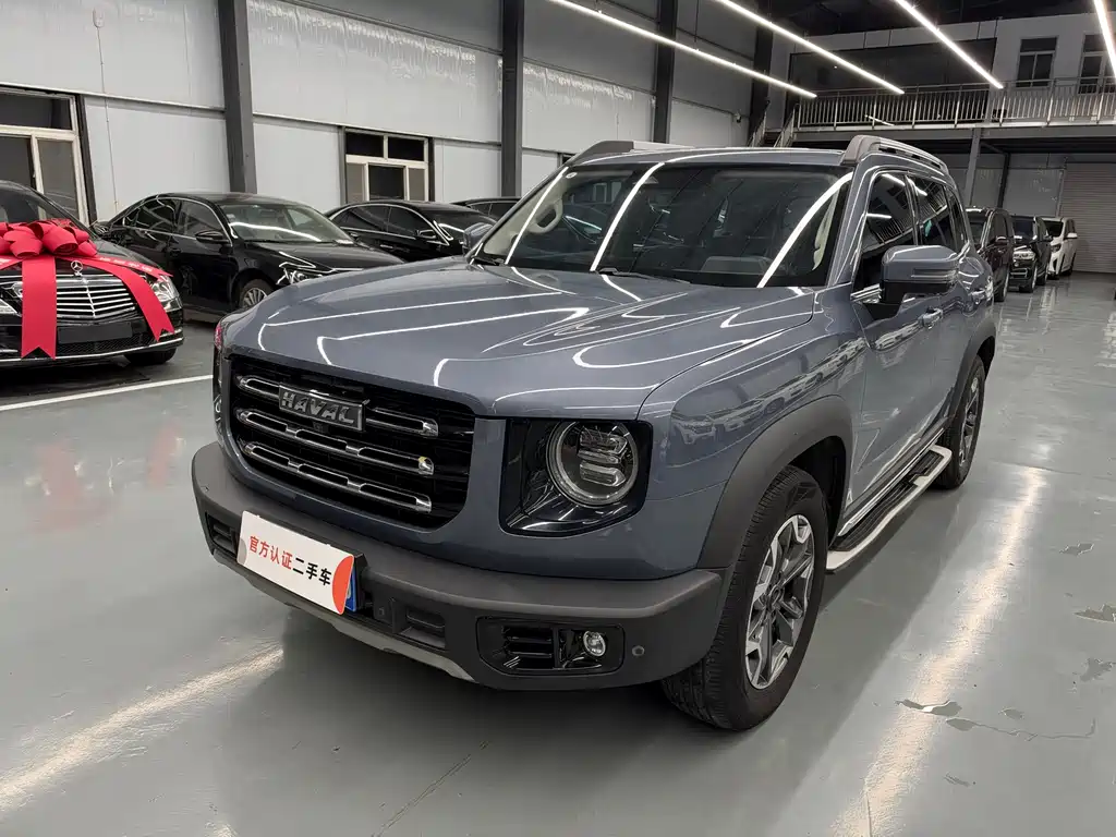  Big Dog 2.0T DCT 4WD Mid Splendid Pastoral Dog Edition
