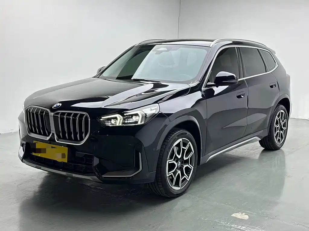  X1 sDrive25Li X Design Package