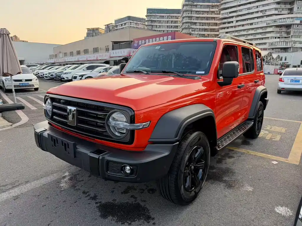  300 2.0T Gasoline Conquer